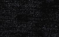 クオンDランク NELSON-BLACK