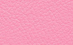 クオンAランク PL-33