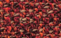 クオンEランク VEGASCT-BURNT ORANGE